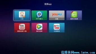 在线视频 整体,内容、趋势与影响综述