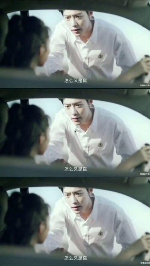 老易的故事在线视频,逆境中的奋斗与蜕变