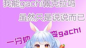 gachi在线视频,动感十足的音乐狂欢之旅