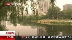 热马河在线视频播,探寻自然奇观与人文风情