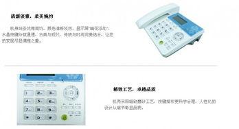 白白色868在线视频,揭秘网络红人的魅力与影响力